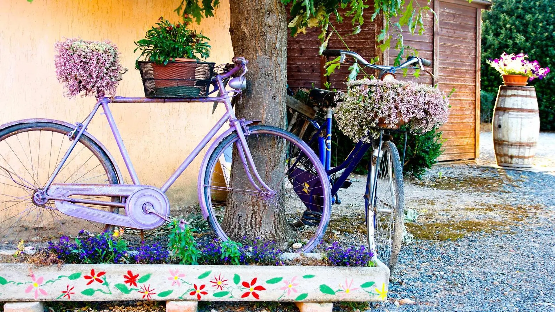 Agriturismo Al Vermigliano Alberese